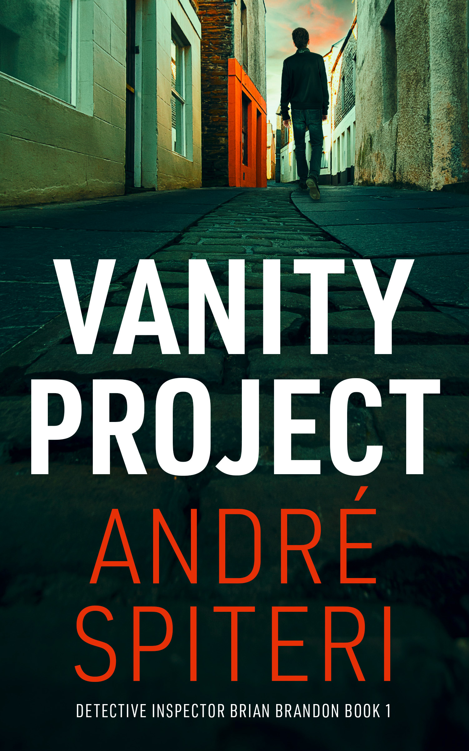 Book cover: Vanity Project